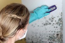 Moisissure sur le mur de l'appartement : que faire et comment s'en débarrasser ?