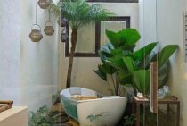 Ces plantes de salle de bain