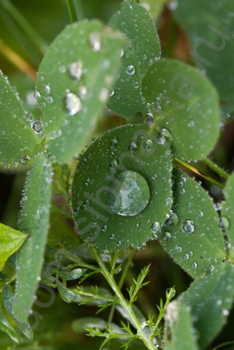 Faible pression d'eau froide ou chaude dans l'appartement, que faire, comment augmenter la pression de l'eau dans le robinet, exemple de plainte concernant une mauvaise pression