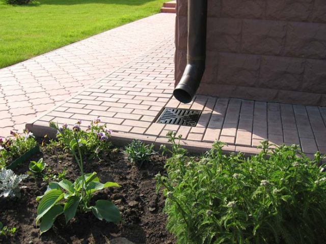 Entrées d'eau de pluie pour les types et l'installation des égouts pluviaux