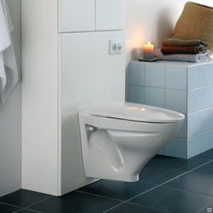 Microlift pour les toilettes qu'est-ce que c'est Description et installation de vos propres mains Photo