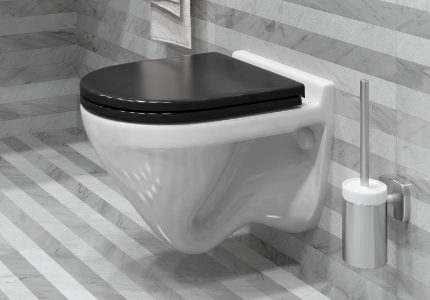 Microlift pour les toilettes qu'est-ce que c'est Description et installation de vos propres mains Photo