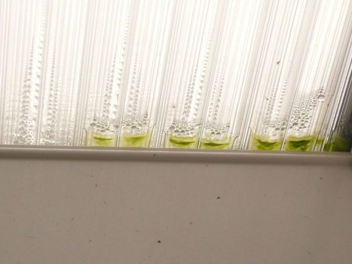 Conductivité thermique du polycarbonate