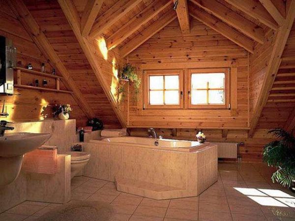 Baignoire ou cabine de douche dans une maison en bois