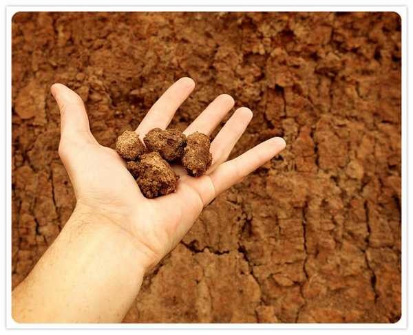 Comment préparer un mortier pour enduire les murs de ciment et de sable