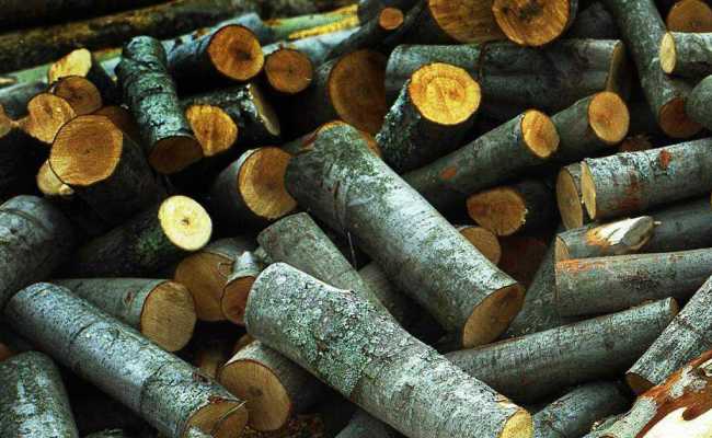 Quel type de bois de chauffage convient le mieux au poêle: pouvoir calorifique, le plus chaud