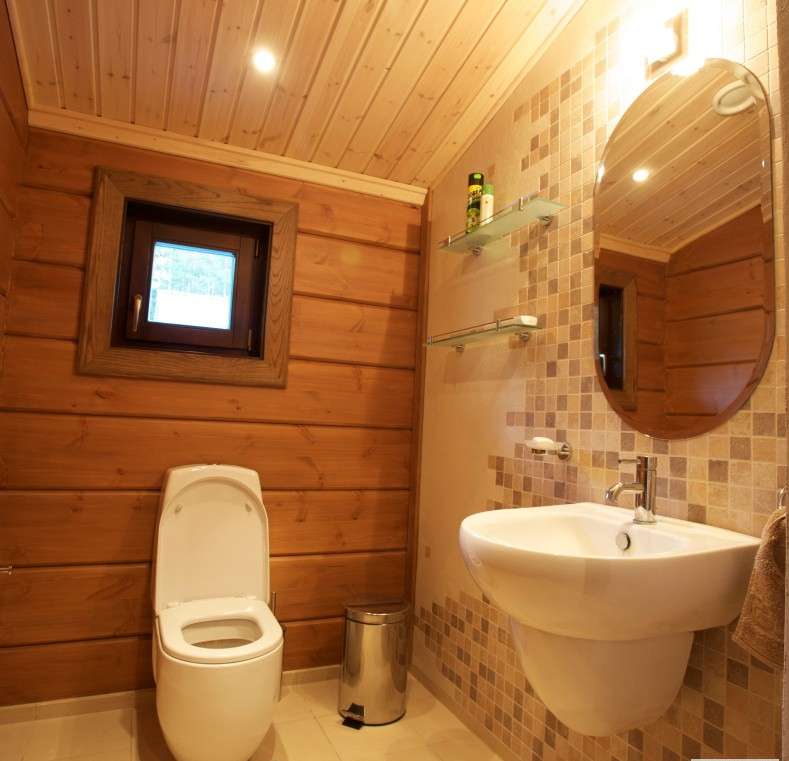 Baignoire ou cabine de douche dans une maison en bois